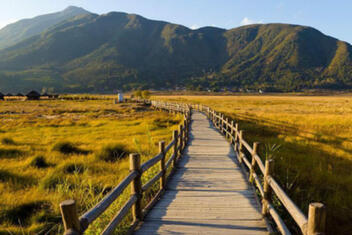 Beihai Wetlands